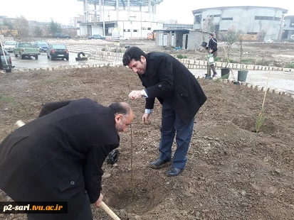 حضور مدیریت و کارکنان مرکز در مراسم هفته منابع طبیعی و غرس نهال در پارک موزه دفاع مقدس 4