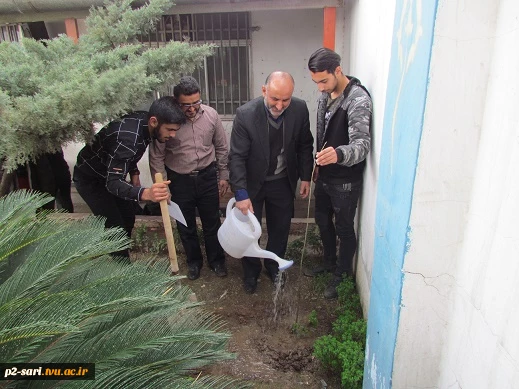 کاشت نهال به مناسبت روز درختکاری توسط ریاست ،کارکنان،اساتید ودانشجویان در محوطه آموزشکده فنی شماره2ساری 4