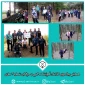 دومین مرحله همایش پیاده‌روی